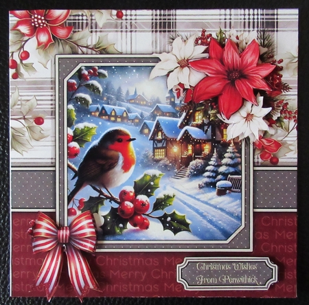 Robins christmas pack by Davina Rundle