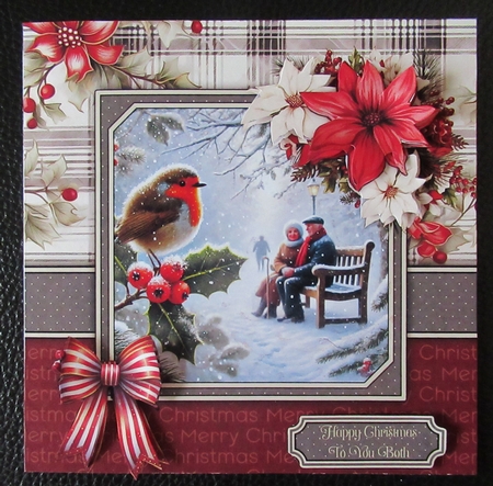 Robins christmas pack by Davina Rundle