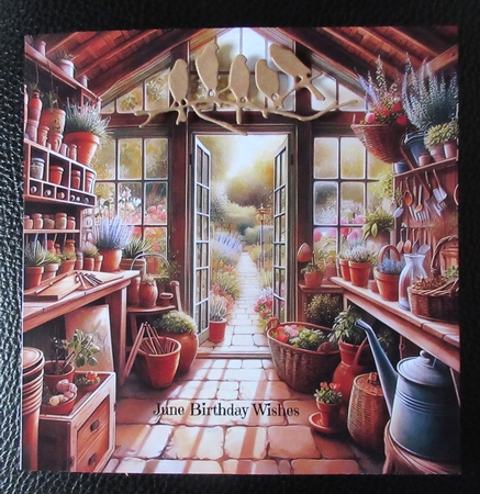 The Potting Shed by Davina Rundle