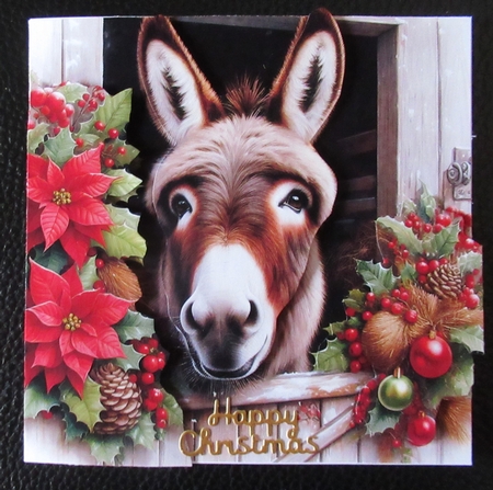 Christmas Stable Donkey by Davina Rundle