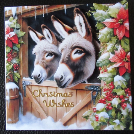Christmas Stable Donkey by Davina Rundle