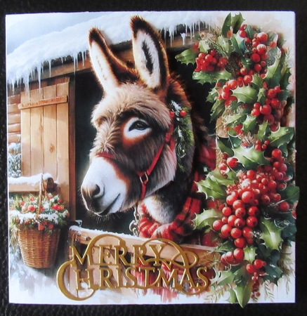 Christmas Stable Donkey by Davina Rundle