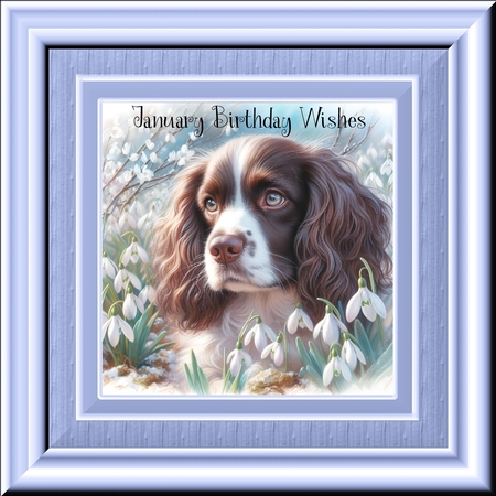 Snowdrop Pups 2 by Davina Rundle