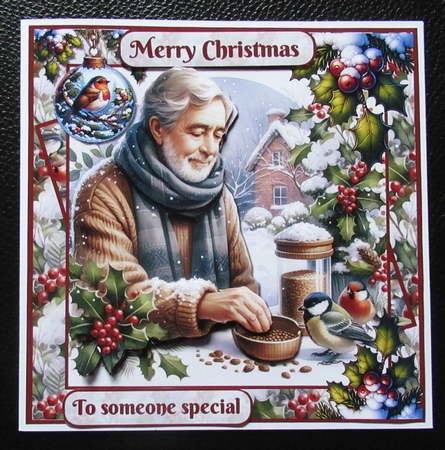Feed the birds at Christmas by Davina Rundle