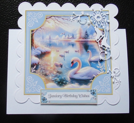 Winter White Animals by Davina Rundle