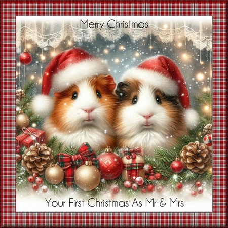 Christmas Guinea pigs by Davina Rundle
