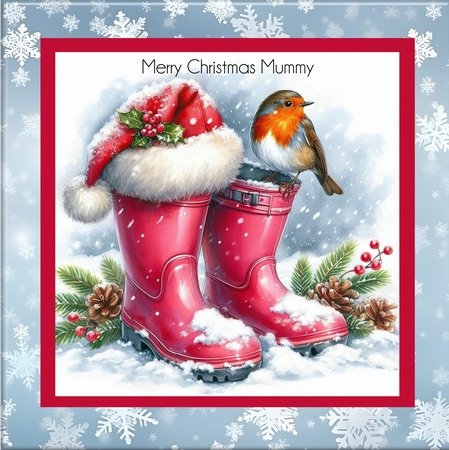 Robins love Wellies by Davina Rundle