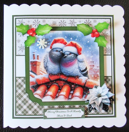 CHRISTMAS PIGEON by Davina Rundle