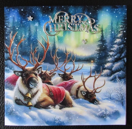 Resting Reindeer 2 by Davina Rundle