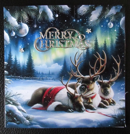 Resting Reindeer 2 by Davina Rundle