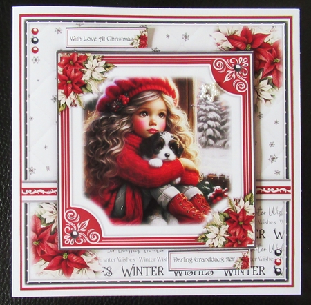 The Christmas Window by Davina Rundle