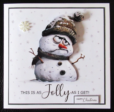 The Jolly Snowman by Davina Rundle