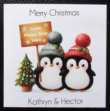 Festive Penguin  CUSTOMER REQUEST by Davina Rundle