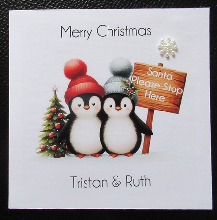 Festive Penguin  CUSTOMER REQUEST by Davina Rundle