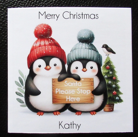 Festive Penguin  CUSTOMER REQUEST by Davina Rundle