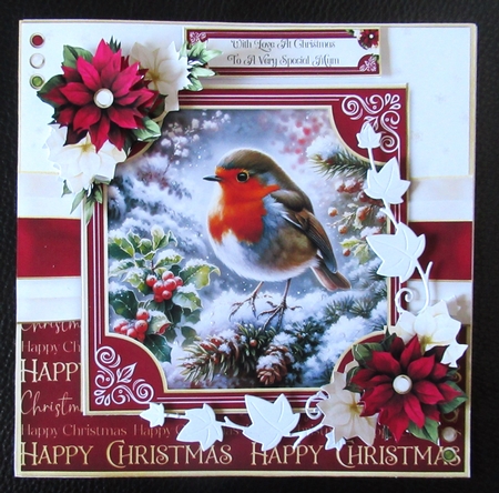 Robin Red Breast by Davina Rundle