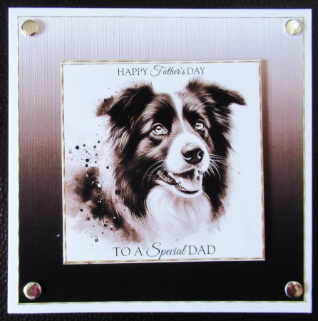 Pawfect Portraits 4 by Davina Rundle