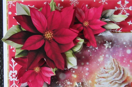 Claret Poinsettia Vignette by Davina Rundle