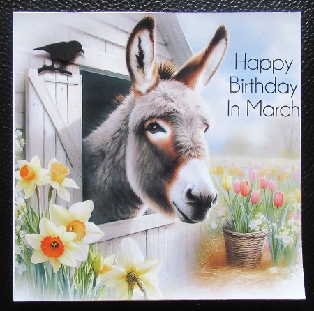 Stable Donkey by Davina Rundle
