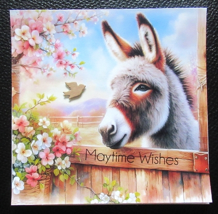 Stable Donkey by Davina Rundle