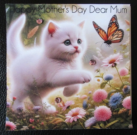 Butterfly Kittens  by Davina Rundle