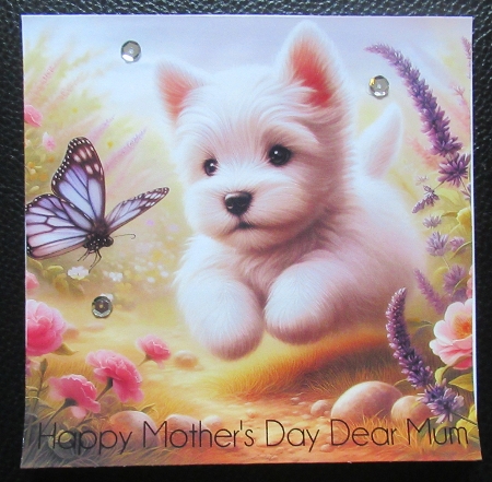 Butterfly Pups  by Davina Rundle