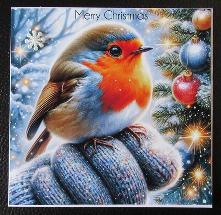 Robin Hand Christmas Wishes by Davina Rundle