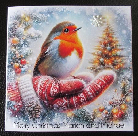 Robin Hand Christmas Wishes by Davina Rundle