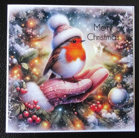 Robin Hand Christmas Wishes by Davina Rundle