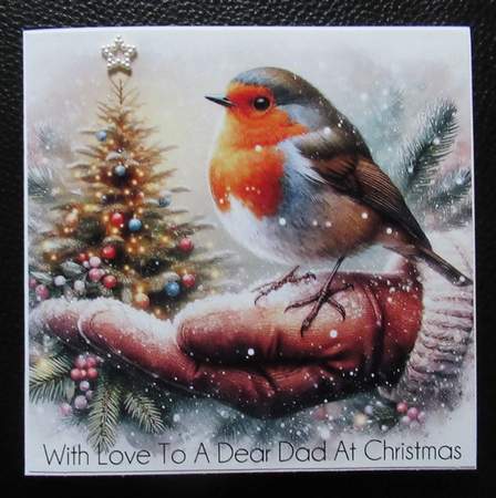 Robin Hand Christmas Wishes by Davina Rundle