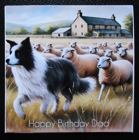 Herding The Sheep by Davina Rundle