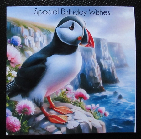 A Puffins View by Davina Rundle