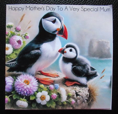A Puffins View by Davina Rundle