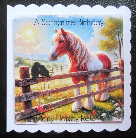 Spring Field Horses  by Davina Rundle