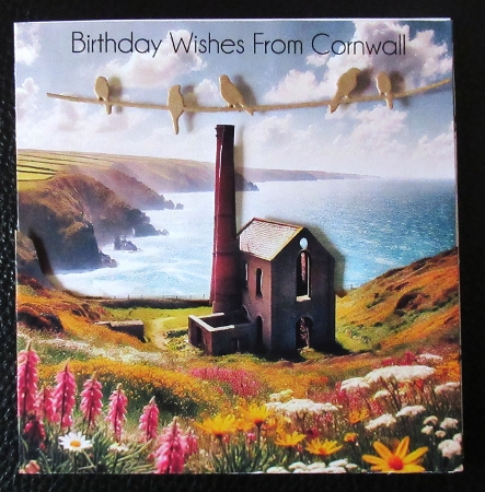  Cornish Spring/Summer Coast Engine Hoiuse CUSTOMER REQUEST  by Davina Rundle