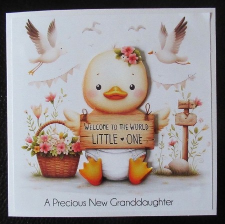 Welcome to the world  by Davina Rundle