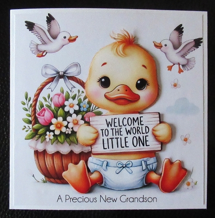 Welcome to the world  by Davina Rundle