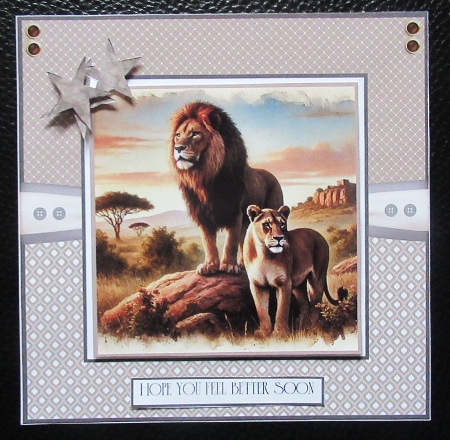 African Plains by Davina Rundle