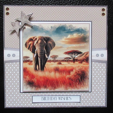 African Plains by Davina Rundle