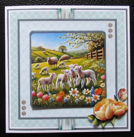 Frolicking Lambs by Davina Rundle