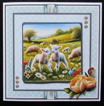 Frolicking Lambs by Davina Rundle