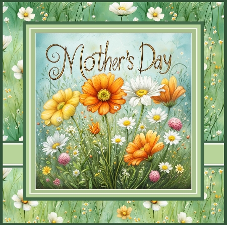 Mothers Day Flower by Davina Rundle