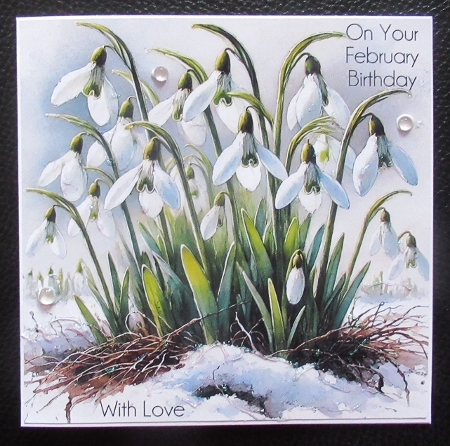 Spring flowers - Snowdrops by Davina Rundle