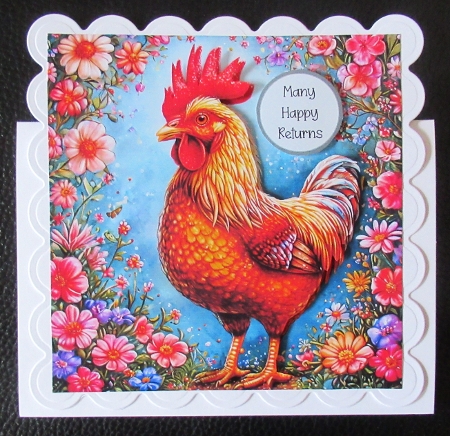 Spring Chickens by Davina Rundle