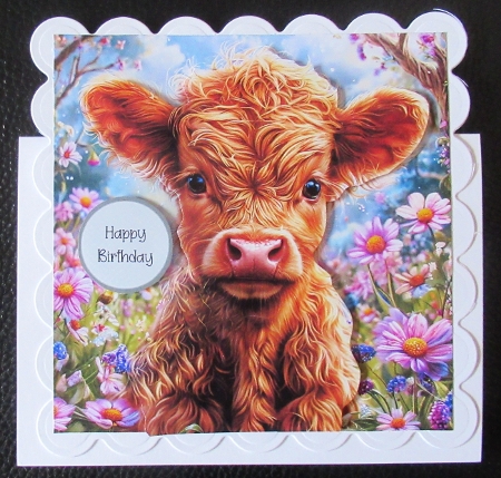Spring Highland by Davina Rundle