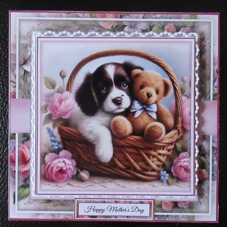 Cuddle Buddies by Davina Rundle
