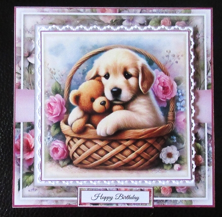 Cuddle Buddies 2 by Davina Rundle