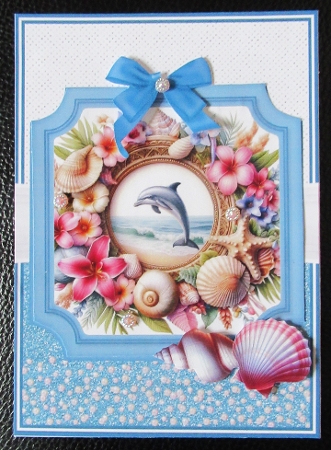 DOLPHIN FUN by Davina Rundle