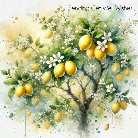 Lemon tree  by Davina Rundle