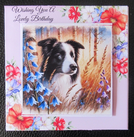 Birchwood Pups 5 by Davina Rundle